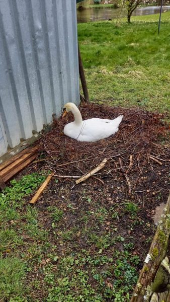 Ostern_2_20220407-scaled