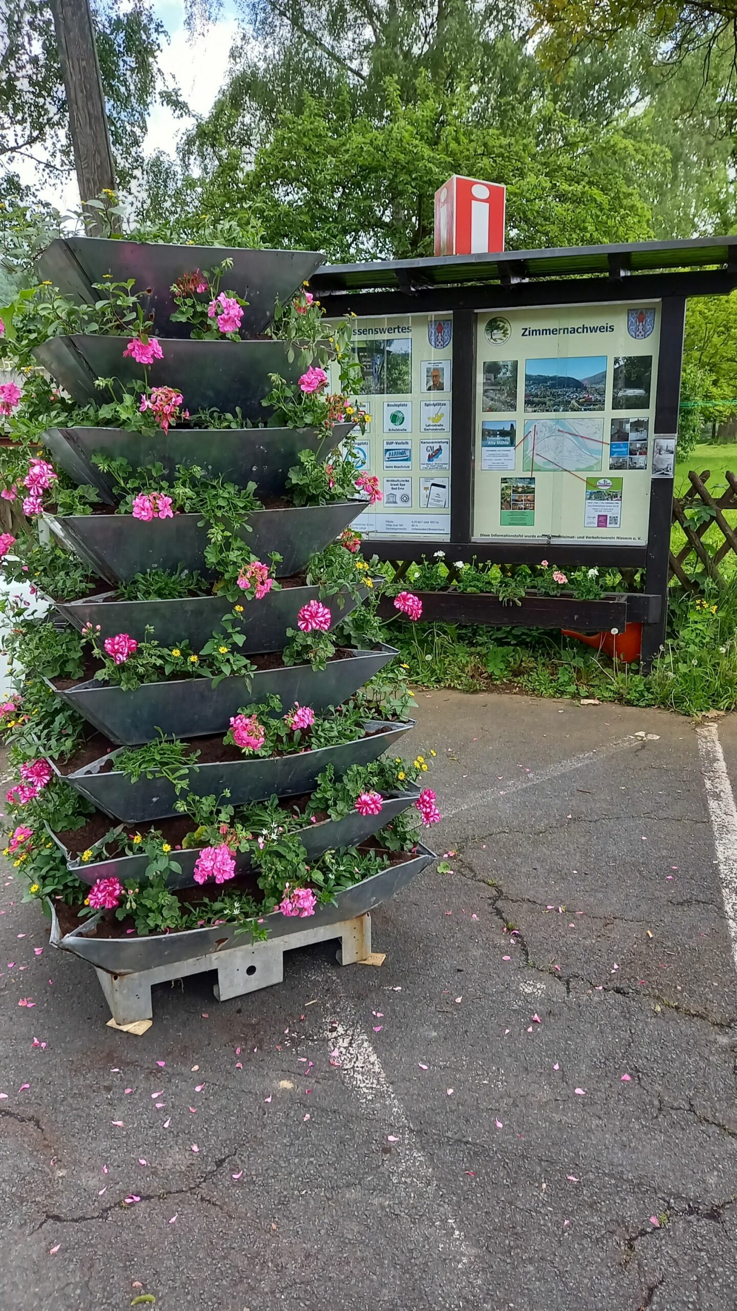 1_20230514_Blumen_HVN