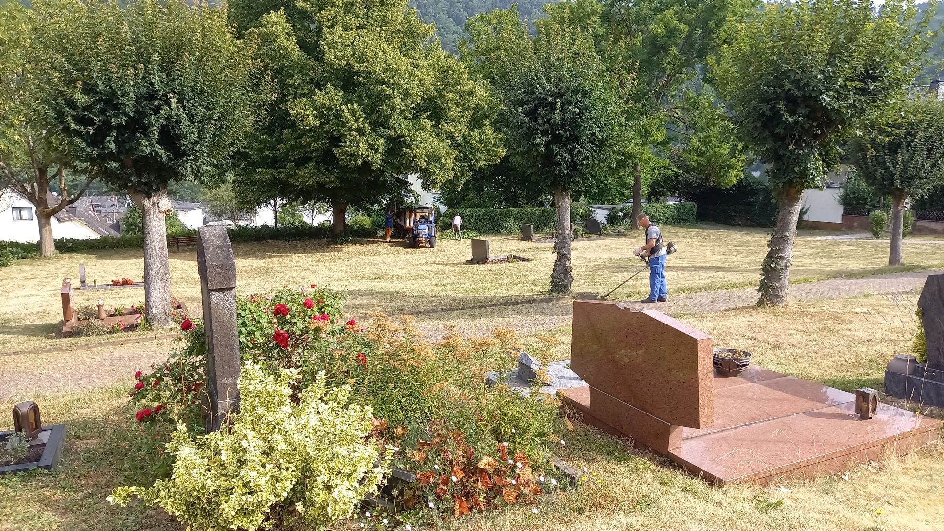HF_2_20260718_Friedhof