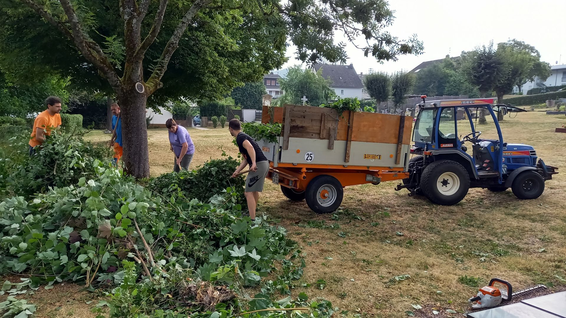 HF_3_20260718_Friedhof